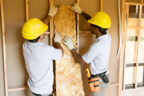 Best Cellulose Insulation  in Heidelberg, PA
