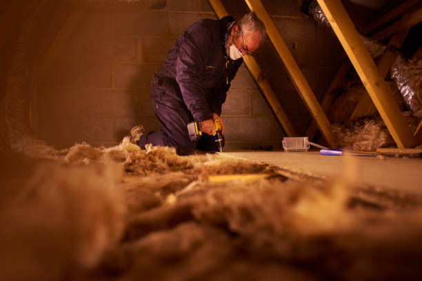 Best Insulation Repair Services  in Heidelberg, PA